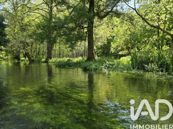Maison à vendre 10 pièces 354 m² Gensac-la-Pallue