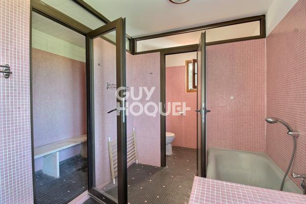 Maison individuelle 350 m² vue Mont Blanc