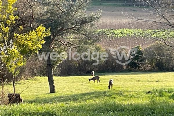 Maison à vendre 7 pièces de 226,6 m² à Gimont