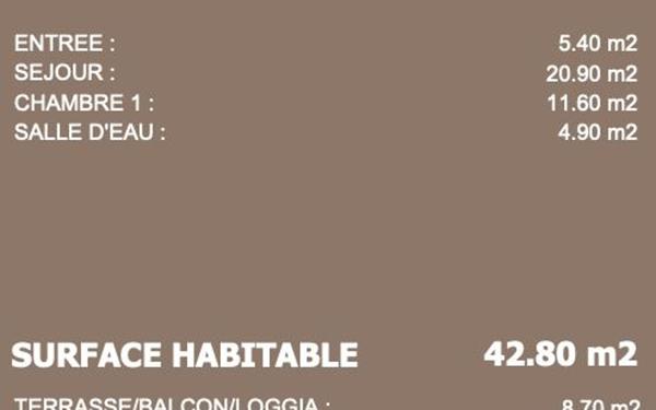 Appartement à vendre    2 pièces • 42,80 m2 Neuville-sur-Saône