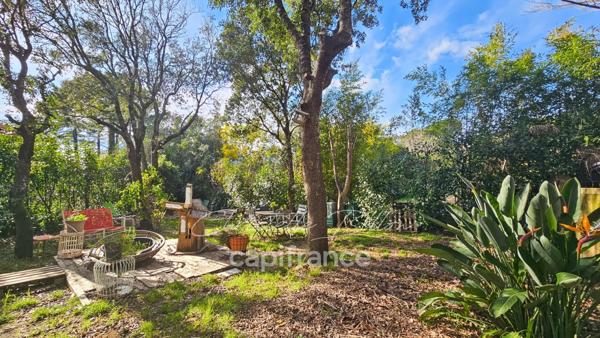 Maison à vendre 7 pièces PORTO VECCHIO (20)