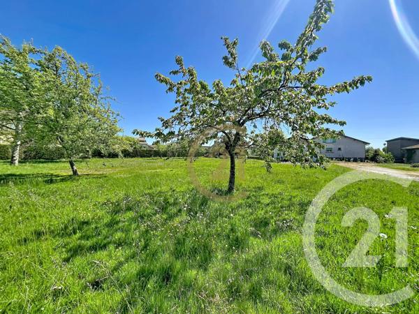 Terrain à vendre  700 m 2   LUXEUIL LES BAINS  - 70