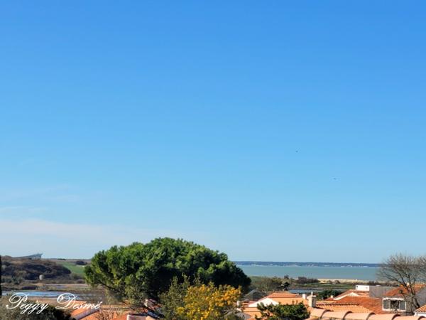 Maison à vendre 6 pièces L'HOUMEAU (17) - 173 m2 - Parcelle de 1100 m2 - 4 chambres, 1 bureau - Piscine chauffée - Double garage