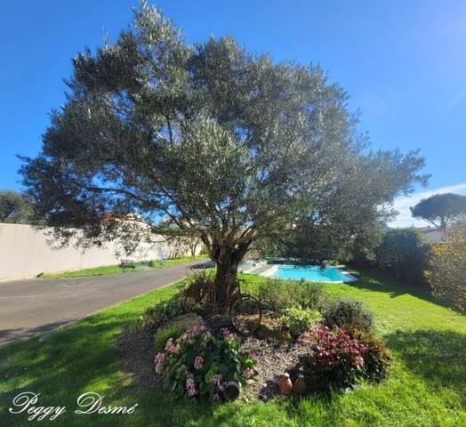 Maison à vendre 6 pièces L'HOUMEAU (17) - 173 m2 - Parcelle de 1100 m2 - 4 chambres, 1 bureau - Piscine chauffée - Double garage