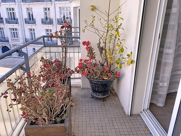 Vente appartement Nantes : 151 480 € - AJP Immobilier Nantes Ouest