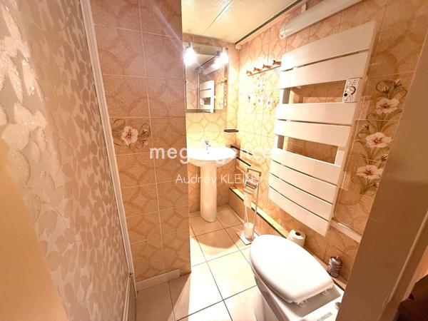 Maison à SAINT-JULIEN-DU-SAULT, 89330 - 4 pièces 108m²