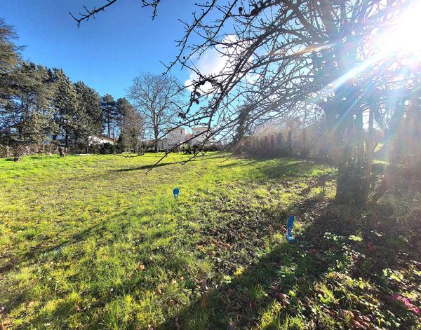 Vente / Terrain constructible