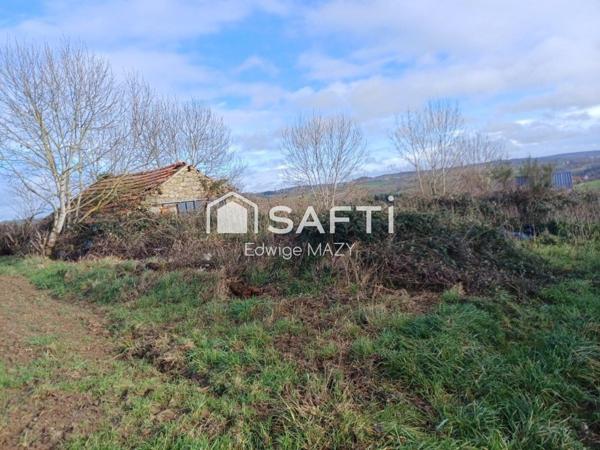 Belle opportunité  à saisir