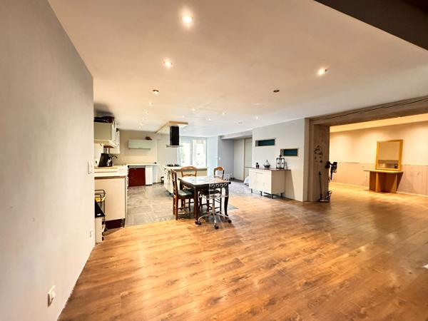 A VENDRE ENSEMBLE IMMOBILIER DE PLUS DE 350M² AVEC TERRAIN A FINIR DE RESTAURER.