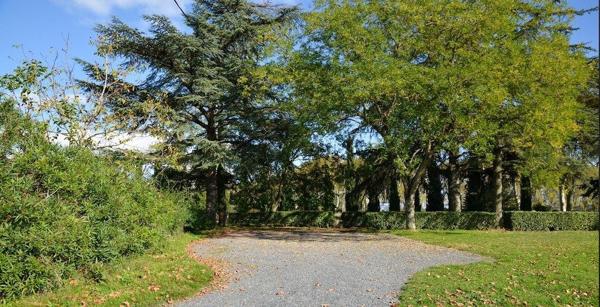 Vente Manoir Rabastens 23 Pièces 1300 m²