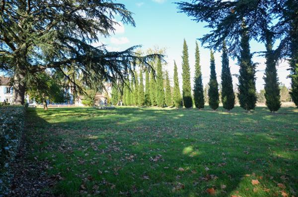 Vente Manoir Rabastens 23 Pièces 1300 m²
