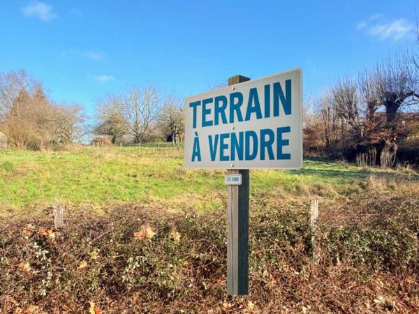 Vente / Terrain