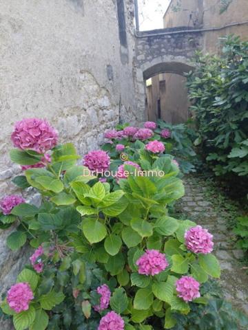 Hôtel particulier à vendre 19 pièces de 412 m²