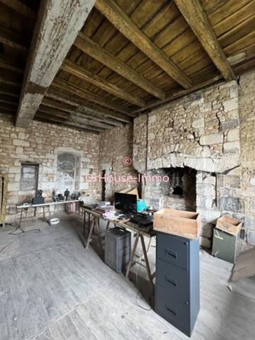 Hôtel particulier à vendre 19 pièces de 412 m²