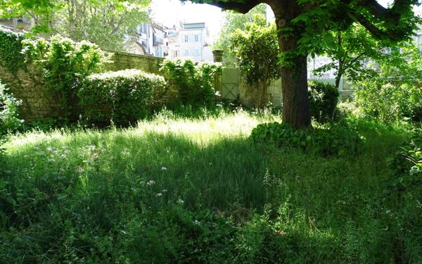 Maison à vendre    8 pièces • 541,18 m2 Forcalquier