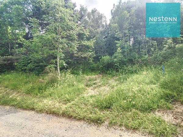 Terrain Soleymieux 2157 m² - arboré et en pleine campagne - construction libre