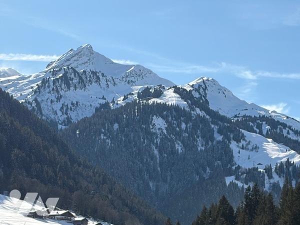 EXCLUSIVITE : ARECHES - CENTRE VILLAGE et DEPART DES PISTES - Appartement 29.54 m²