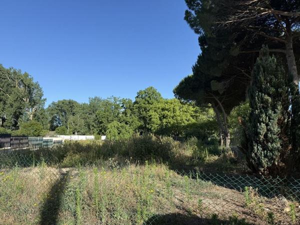 Terrain - ROYAN