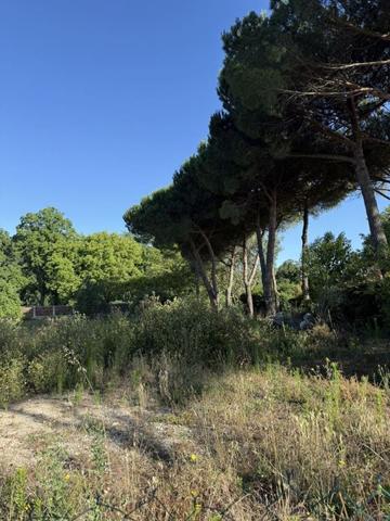 Terrain - ROYAN