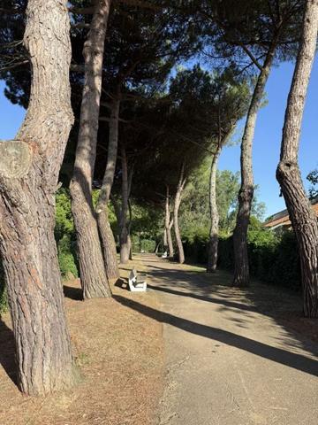 Terrain - ROYAN