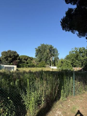 Terrain - ROYAN