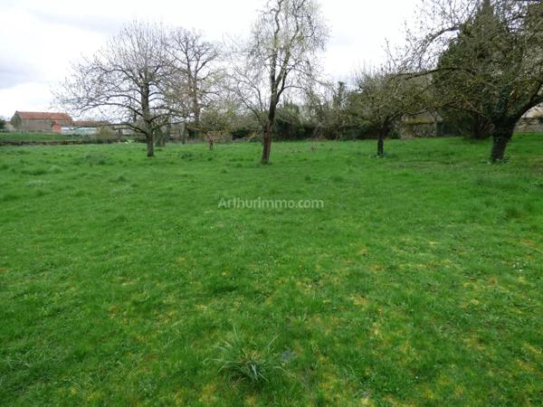 Vente Maison de village 5 pièces 170 m2 à Noyers