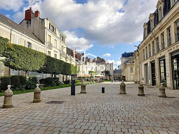 Appartement à louer à Angers (49100)