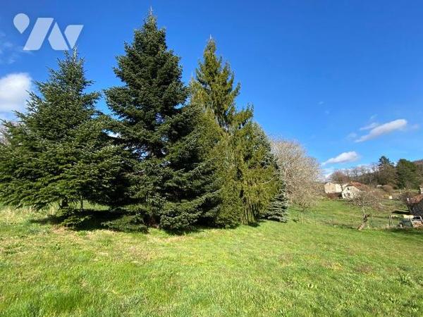 MARMANHAC, sur terrain de 4632 m², maison d'habitation comprenant RDC entrée,  chaufferie/buand...