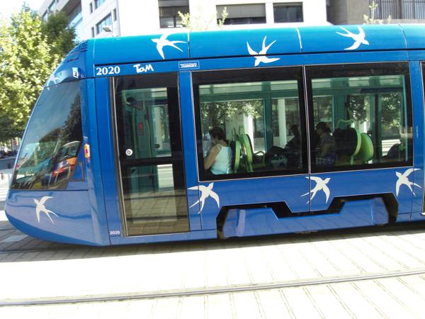 studio +parking +terrasse  RIVES DU LEZ / FAC RICHTER