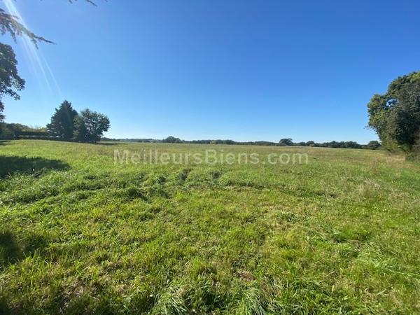 Entre Auch et Fleurance / Maison gasconne de 230m2 + chai en pierre de 320m2