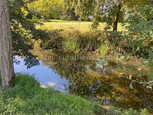 Entre Auch et Fleurance / Maison gasconne de 230m2 + chai en pierre de 320m2