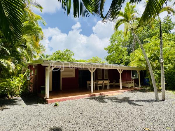 *** Exclusivité BSK Immobilier ***

🏡 Je vous propose à la vente une Maison avec vaste terrain plat et arboré à Saint-François, Guadeloupe
À seulement 3 minutes du Centre-Ville, des Plages, de la Marina, du Golf, des Commerces et des Centres Médicaux, cette propriété bénéficie d’une situation idéale : proche des axes routiers pour un accès rapide, tout en étant parfaitement au calme, sans nuisances.


Une maison familiale spacieuse de 226 m2 répartis de la façon suivante : 

•	110 m² habitables comprenant :
o	Un salon lumineux
o	Une cuisine
o	3 chambres
o	2 salles d’eau
o	Une pièce polyvalente (buanderie, local technique, bureau..)


De grands espaces extérieurs pour profiter du climat tropical.

•	116 m² d’annexes :
o	Garage fermé de 36 m²
o	Grande terrasse couverte de 57 m² pour vivre dedans dehors
o	Abri voitures de 22 m²

•	Terrain plat et arboré de 3 000 m² – un atout rare dans le secteur.

•	Très belle piscine au sel 10 × 5 m, idéale pour la détente et la convivialité.
•	Citerne tampon 2000 L – chauffe-eau solaire – panneaux solaires pour une quasi autonomie électrique.
•	Construction béton.
•	Rafraîchissement à prévoir pour la remettre au goût du jour.


Un bien à fort potentiel :
•	Terrain classé en zone U4 du PLU
•	Possibilité de :
o	Détachement de parcelle
o	Construire plusieurs gîtes ou bungalows
o	Ajouter une seconde maison

💡 Idéal pour :
•	Amateurs d’espace et de nature
•	Investisseurs souhaitant développer un projet touristique ou locatif
•	Familles cherchant un cadre de vie calme mais proche de tout

📍 Saint-François – Emplacement rare, terrain plat, grande piscine, multiples possibilités.

📞 Pour toute information ou visite, contactez moi dès maintenant !