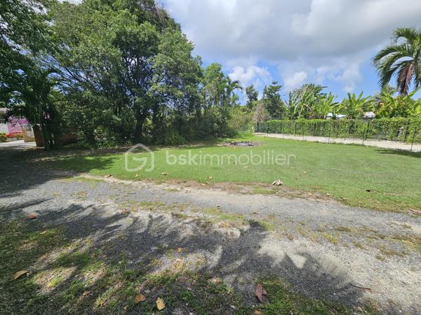 *** Exclusivité BSK Immobilier ***

🏡 Je vous propose à la vente une Maison avec vaste terrain plat et arboré à Saint-François, Guadeloupe
À seulement 3 minutes du Centre-Ville, des Plages, de la Marina, du Golf, des Commerces et des Centres Médicaux, cette propriété bénéficie d’une situation idéale : proche des axes routiers pour un accès rapide, tout en étant parfaitement au calme, sans nuisances.


Une maison familiale spacieuse de 226 m2 répartis de la façon suivante : 

•	110 m² habitables comprenant :
o	Un salon lumineux
o	Une cuisine
o	3 chambres
o	2 salles d’eau
o	Une pièce polyvalente (buanderie, local technique, bureau..)


De grands espaces extérieurs pour profiter du climat tropical.

•	116 m² d’annexes :
o	Garage fermé de 36 m²
o	Grande terrasse couverte de 57 m² pour vivre dedans dehors
o	Abri voitures de 22 m²

•	Terrain plat et arboré de 3 000 m² – un atout rare dans le secteur.

•	Très belle piscine au sel 10 × 5 m, idéale pour la détente et la convivialité.
•	Citerne tampon 2000 L – chauffe-eau solaire – panneaux solaires pour une quasi autonomie électrique.
•	Construction béton.
•	Rafraîchissement à prévoir pour la remettre au goût du jour.


Un bien à fort potentiel :
•	Terrain classé en zone U4 du PLU
•	Possibilité de :
o	Détachement de parcelle
o	Construire plusieurs gîtes ou bungalows
o	Ajouter une seconde maison

💡 Idéal pour :
•	Amateurs d’espace et de nature
•	Investisseurs souhaitant développer un projet touristique ou locatif
•	Familles cherchant un cadre de vie calme mais proche de tout

📍 Saint-François – Emplacement rare, terrain plat, grande piscine, multiples possibilités.

📞 Pour toute information ou visite, contactez moi dès maintenant !