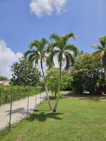*** Exclusivité BSK Immobilier ***

🏡 Je vous propose à la vente une Maison avec vaste terrain plat et arboré à Saint-François, Guadeloupe
À seulement 3 minutes du Centre-Ville, des Plages, de la Marina, du Golf, des Commerces et des Centres Médicaux, cette propriété bénéficie d’une situation idéale : proche des axes routiers pour un accès rapide, tout en étant parfaitement au calme, sans nuisances.


Une maison familiale spacieuse de 226 m2 répartis de la façon suivante : 

•	110 m² habitables comprenant :
o	Un salon lumineux
o	Une cuisine
o	3 chambres
o	2 salles d’eau
o	Une pièce polyvalente (buanderie, local technique, bureau..)


De grands espaces extérieurs pour profiter du climat tropical.

•	116 m² d’annexes :
o	Garage fermé de 36 m²
o	Grande terrasse couverte de 57 m² pour vivre dedans dehors
o	Abri voitures de 22 m²

•	Terrain plat et arboré de 3 000 m² – un atout rare dans le secteur.

•	Très belle piscine au sel 10 × 5 m, idéale pour la détente et la convivialité.
•	Citerne tampon 2000 L – chauffe-eau solaire – panneaux solaires pour une quasi autonomie électrique.
•	Construction béton.
•	Rafraîchissement à prévoir pour la remettre au goût du jour.


Un bien à fort potentiel :
•	Terrain classé en zone U4 du PLU
•	Possibilité de :
o	Détachement de parcelle
o	Construire plusieurs gîtes ou bungalows
o	Ajouter une seconde maison

💡 Idéal pour :
•	Amateurs d’espace et de nature
•	Investisseurs souhaitant développer un projet touristique ou locatif
•	Familles cherchant un cadre de vie calme mais proche de tout

📍 Saint-François – Emplacement rare, terrain plat, grande piscine, multiples possibilités.

📞 Pour toute information ou visite, contactez moi dès maintenant !