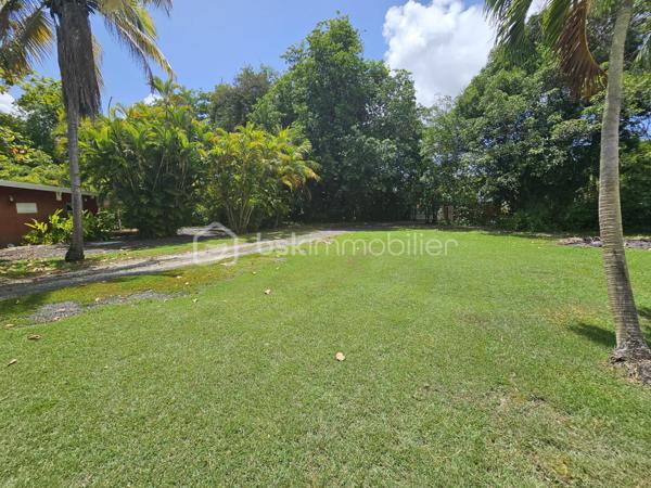 *** Exclusivité BSK Immobilier ***

🏡 Je vous propose à la vente une Maison avec vaste terrain plat et arboré à Saint-François, Guadeloupe
À seulement 3 minutes du Centre-Ville, des Plages, de la Marina, du Golf, des Commerces et des Centres Médicaux, cette propriété bénéficie d’une situation idéale : proche des axes routiers pour un accès rapide, tout en étant parfaitement au calme, sans nuisances.


Une maison familiale spacieuse de 226 m2 répartis de la façon suivante : 

•	110 m² habitables comprenant :
o	Un salon lumineux
o	Une cuisine
o	3 chambres
o	2 salles d’eau
o	Une pièce polyvalente (buanderie, local technique, bureau..)


De grands espaces extérieurs pour profiter du climat tropical.

•	116 m² d’annexes :
o	Garage fermé de 36 m²
o	Grande terrasse couverte de 57 m² pour vivre dedans dehors
o	Abri voitures de 22 m²

•	Terrain plat et arboré de 3 000 m² – un atout rare dans le secteur.

•	Très belle piscine au sel 10 × 5 m, idéale pour la détente et la convivialité.
•	Citerne tampon 2000 L – chauffe-eau solaire – panneaux solaires pour une quasi autonomie électrique.
•	Construction béton.
•	Rafraîchissement à prévoir pour la remettre au goût du jour.


Un bien à fort potentiel :
•	Terrain classé en zone U4 du PLU
•	Possibilité de :
o	Détachement de parcelle
o	Construire plusieurs gîtes ou bungalows
o	Ajouter une seconde maison

💡 Idéal pour :
•	Amateurs d’espace et de nature
•	Investisseurs souhaitant développer un projet touristique ou locatif
•	Familles cherchant un cadre de vie calme mais proche de tout

📍 Saint-François – Emplacement rare, terrain plat, grande piscine, multiples possibilités.

📞 Pour toute information ou visite, contactez moi dès maintenant !