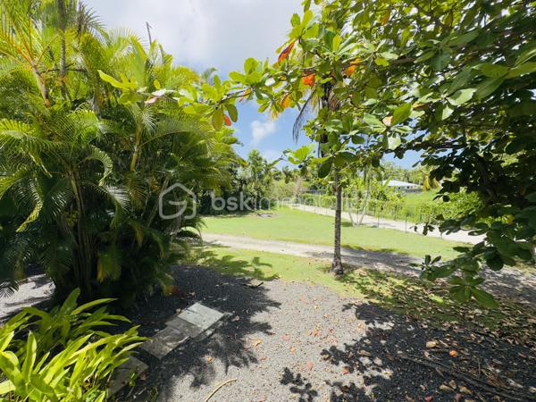 *** Exclusivité BSK Immobilier ***

🏡 Je vous propose à la vente une Maison avec vaste terrain plat et arboré à Saint-François, Guadeloupe
À seulement 3 minutes du Centre-Ville, des Plages, de la Marina, du Golf, des Commerces et des Centres Médicaux, cette propriété bénéficie d’une situation idéale : proche des axes routiers pour un accès rapide, tout en étant parfaitement au calme, sans nuisances.


Une maison familiale spacieuse de 226 m2 répartis de la façon suivante : 

•	110 m² habitables comprenant :
o	Un salon lumineux
o	Une cuisine
o	3 chambres
o	2 salles d’eau
o	Une pièce polyvalente (buanderie, local technique, bureau..)


De grands espaces extérieurs pour profiter du climat tropical.

•	116 m² d’annexes :
o	Garage fermé de 36 m²
o	Grande terrasse couverte de 57 m² pour vivre dedans dehors
o	Abri voitures de 22 m²

•	Terrain plat et arboré de 3 000 m² – un atout rare dans le secteur.

•	Très belle piscine au sel 10 × 5 m, idéale pour la détente et la convivialité.
•	Citerne tampon 2000 L – chauffe-eau solaire – panneaux solaires pour une quasi autonomie électrique.
•	Construction béton.
•	Rafraîchissement à prévoir pour la remettre au goût du jour.


Un bien à fort potentiel :
•	Terrain classé en zone U4 du PLU
•	Possibilité de :
o	Détachement de parcelle
o	Construire plusieurs gîtes ou bungalows
o	Ajouter une seconde maison

💡 Idéal pour :
•	Amateurs d’espace et de nature
•	Investisseurs souhaitant développer un projet touristique ou locatif
•	Familles cherchant un cadre de vie calme mais proche de tout

📍 Saint-François – Emplacement rare, terrain plat, grande piscine, multiples possibilités.

📞 Pour toute information ou visite, contactez moi dès maintenant !