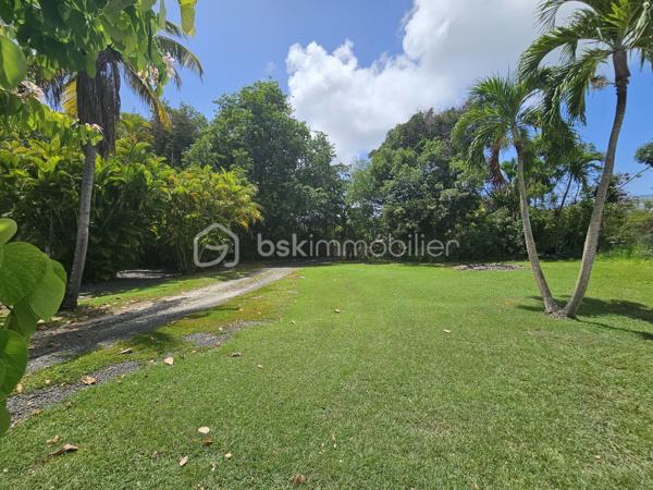 *** Exclusivité BSK Immobilier ***

🏡 Je vous propose à la vente une Maison avec vaste terrain plat et arboré à Saint-François, Guadeloupe
À seulement 3 minutes du Centre-Ville, des Plages, de la Marina, du Golf, des Commerces et des Centres Médicaux, cette propriété bénéficie d’une situation idéale : proche des axes routiers pour un accès rapide, tout en étant parfaitement au calme, sans nuisances.


Une maison familiale spacieuse de 226 m2 répartis de la façon suivante : 

•	110 m² habitables comprenant :
o	Un salon lumineux
o	Une cuisine
o	3 chambres
o	2 salles d’eau
o	Une pièce polyvalente (buanderie, local technique, bureau..)


De grands espaces extérieurs pour profiter du climat tropical.

•	116 m² d’annexes :
o	Garage fermé de 36 m²
o	Grande terrasse couverte de 57 m² pour vivre dedans dehors
o	Abri voitures de 22 m²

•	Terrain plat et arboré de 3 000 m² – un atout rare dans le secteur.

•	Très belle piscine au sel 10 × 5 m, idéale pour la détente et la convivialité.
•	Citerne tampon 2000 L – chauffe-eau solaire – panneaux solaires pour une quasi autonomie électrique.
•	Construction béton.
•	Rafraîchissement à prévoir pour la remettre au goût du jour.


Un bien à fort potentiel :
•	Terrain classé en zone U4 du PLU
•	Possibilité de :
o	Détachement de parcelle
o	Construire plusieurs gîtes ou bungalows
o	Ajouter une seconde maison

💡 Idéal pour :
•	Amateurs d’espace et de nature
•	Investisseurs souhaitant développer un projet touristique ou locatif
•	Familles cherchant un cadre de vie calme mais proche de tout

📍 Saint-François – Emplacement rare, terrain plat, grande piscine, multiples possibilités.

📞 Pour toute information ou visite, contactez moi dès maintenant !