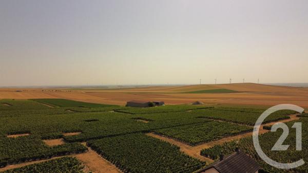 Maison à vendre  6 pièces - 140 m2 VILLENAUXE LA GRANDE - 10