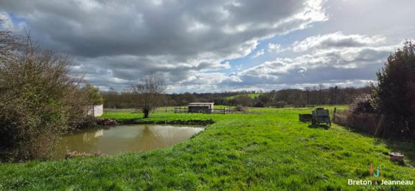 Longère sur 2 ha 55 à Argentré