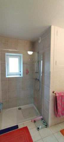 Greneville-en-Beauce (45480) SI VOUS AIMEZ LES DEPENDANCES CE BIEN EST FAIT POUR VOUS!!!