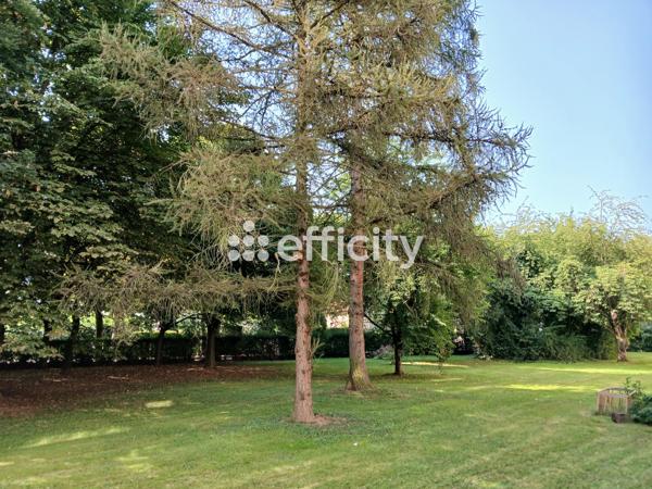 Appartement 3 pièces - 60 m² Exclusivité efficity