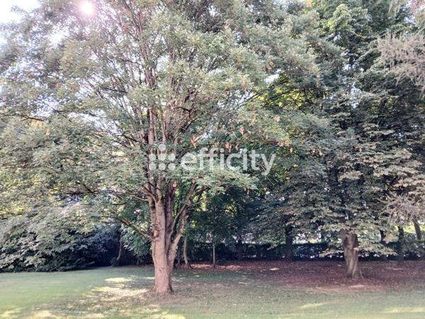 Appartement 3 pièces - 60 m² Exclusivité efficity