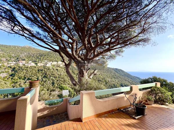 Vente Maison 6 pièces 164 m2 à Ville-Di-Pietrabugno