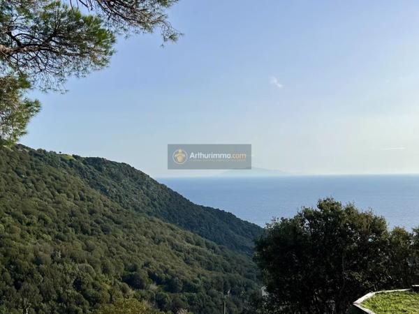 Vente Maison 6 pièces 164 m2 à Ville-Di-Pietrabugno