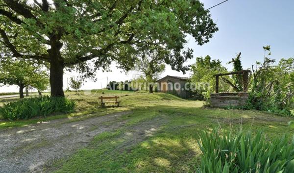 Vente                                                      Maison
                        
                     8 pièces                      257 m2                     à Saint-Jean-Lherm