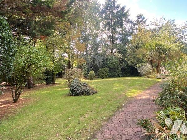 Rare à la vente, Martigné-Ferchaud