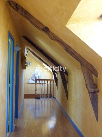 Maison 16 pièces - 310 m² Bien prestige