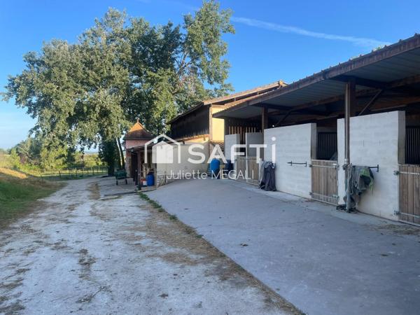 Propriété équestre aux infrastuctures haut de gamme