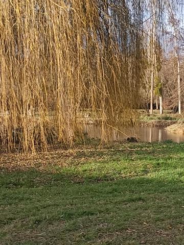 Maison à CHAUDON, 28210 - 5 pièces 80m²