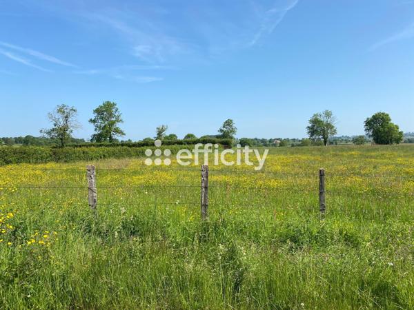 Maison 5 pièces - 110 m²